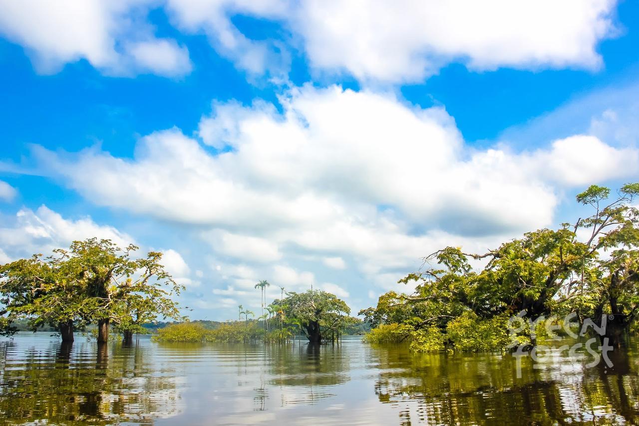 Green Forest Ecolodge Puerto Montufar Εξωτερικό φωτογραφία
