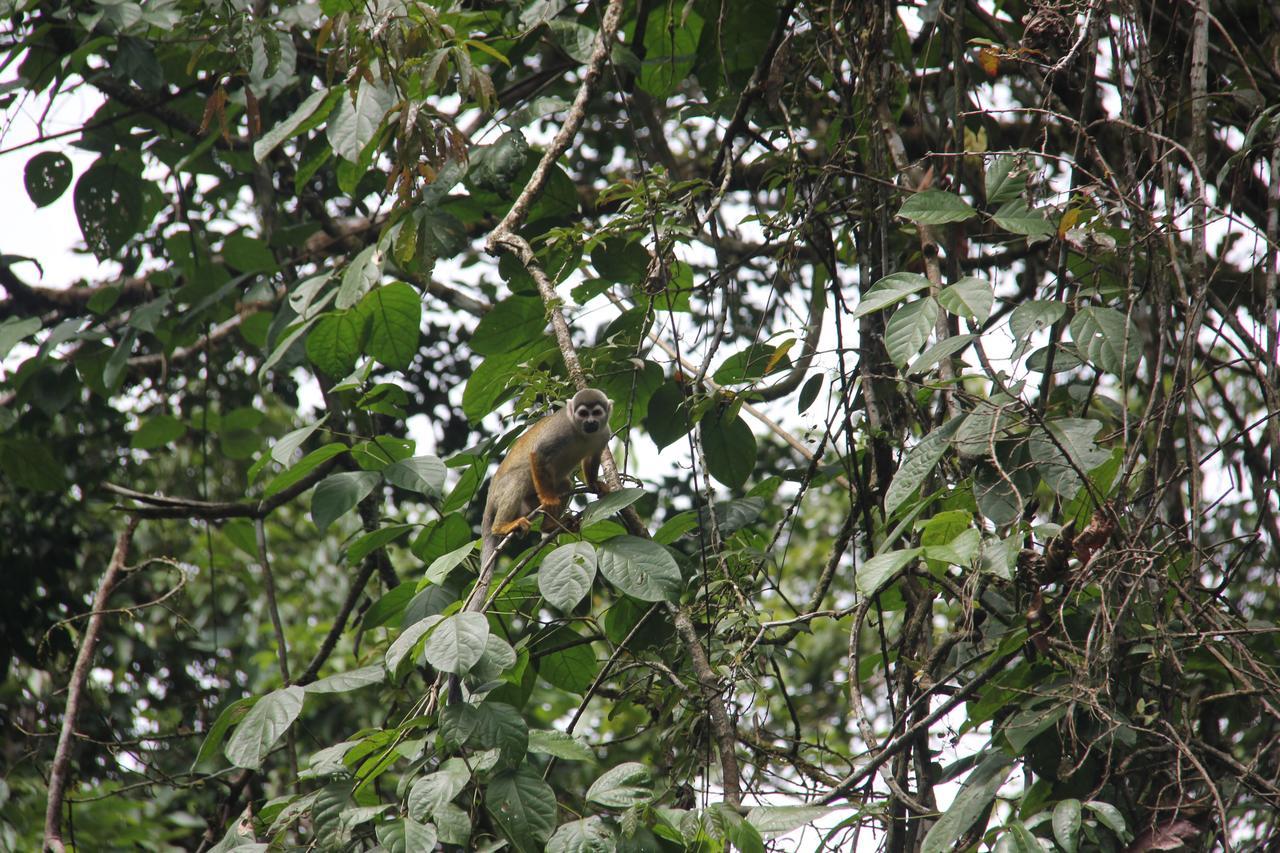 Green Forest Ecolodge Puerto Montufar Εξωτερικό φωτογραφία